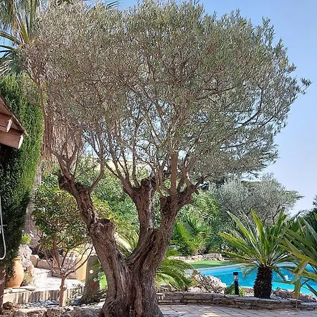 Jardin Azur - Les Issambres - Piscine - Golfe De Saint-tropez Roquebrune-sur-Argens